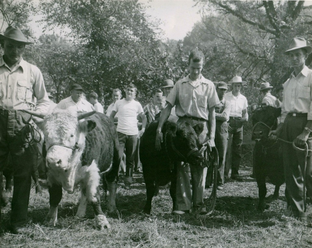 L-R Ben Lollis, Thad Dehart, Jack Wiggins