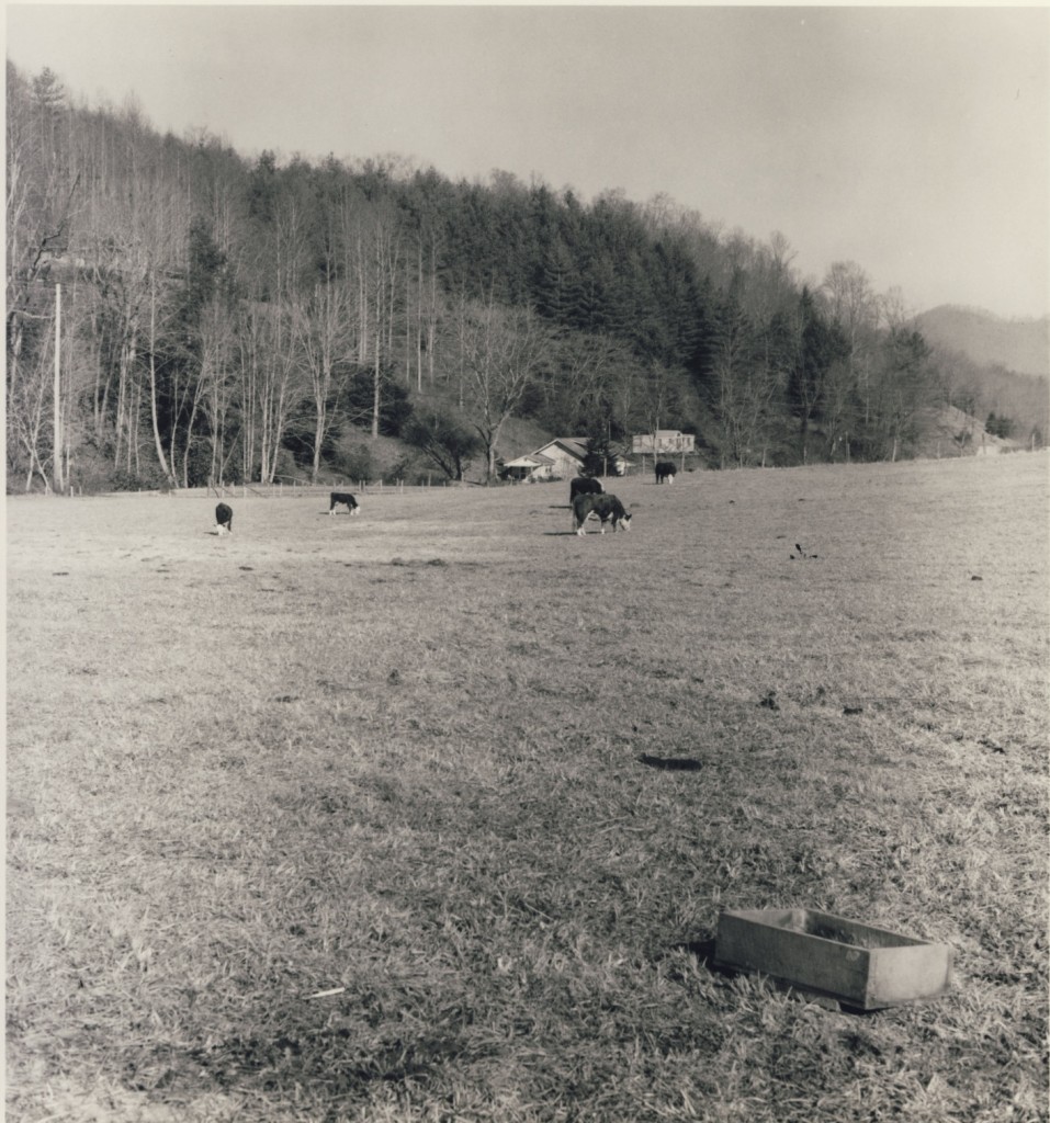 Jack Wiggins Farm - Alarka (Swain County Soil & Water picture)