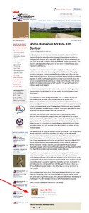 Screenshot of an entire article on our site, arrow showing where we moved the date to.