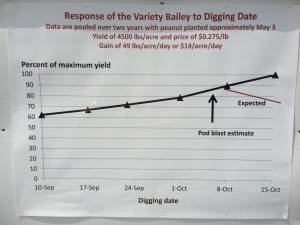 graph of yield over digging date