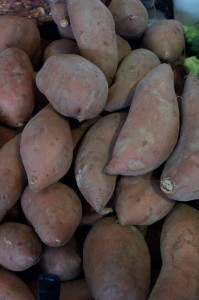 Cover photo for 2014 NC Sweetpotato Field Day