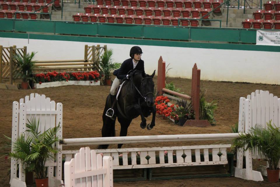 4h horsemanship
