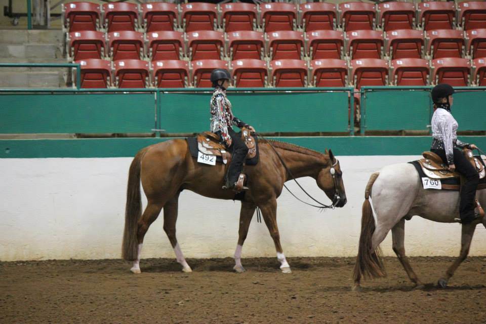 4h horsemanship