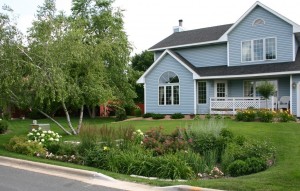 Rain garden