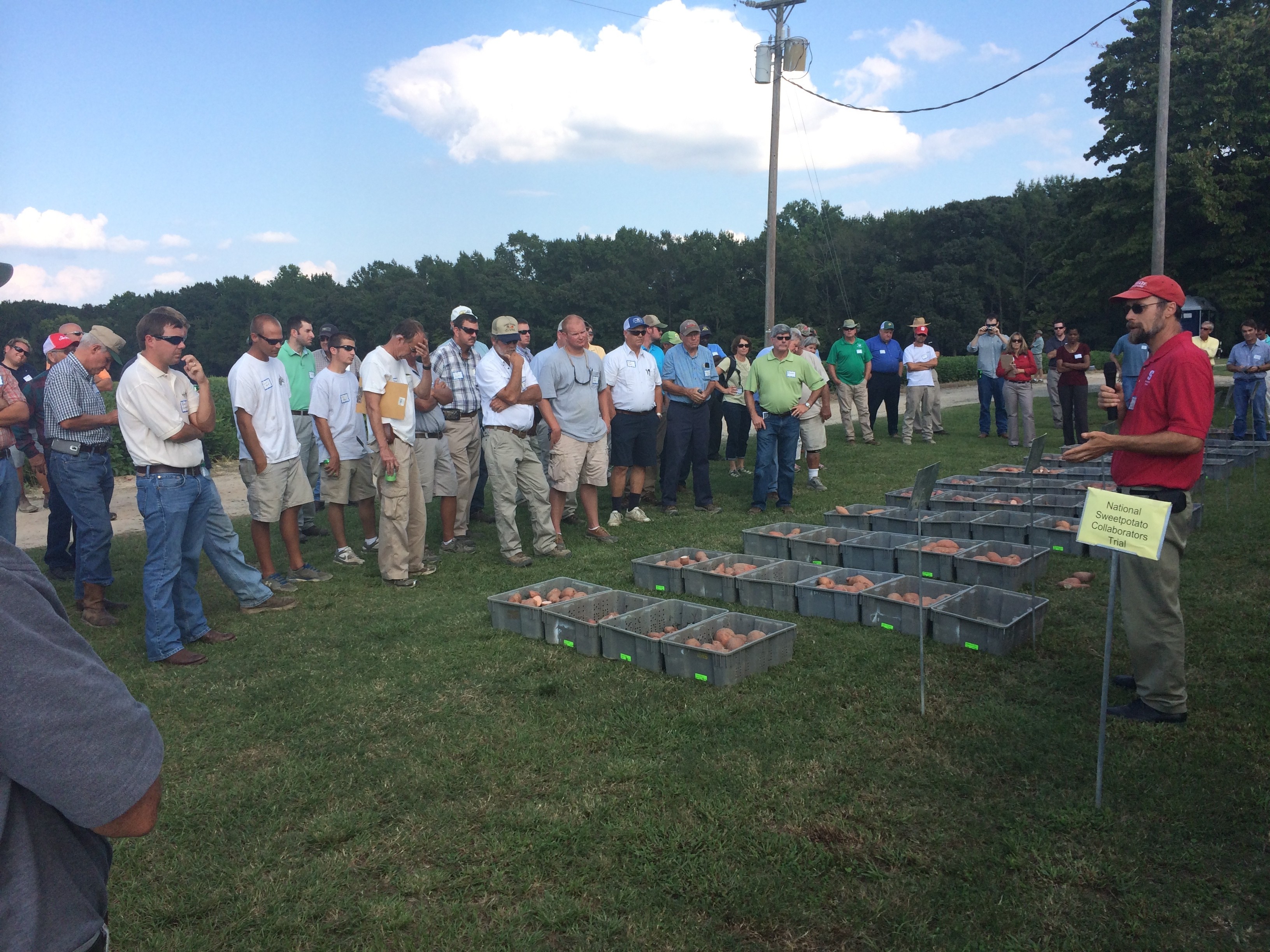 Ken Pecota provides information regarding new releases and advanced selections in the National Sweetpotato Collaborators Trial at the 2014 NC Sweetpotato Field Day.