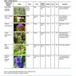 Choosing and using Edible Flowers