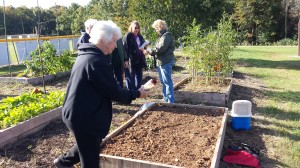 Cover Crops