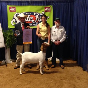 2014 NC State Fair Reserve Champion Doe Showman, Madelyn Chappell is pictured here in the middle with the judge on the left and the goat breeder, John McInnis on the right.