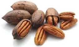 Cover photo for Pecan Trees Need TLC Too