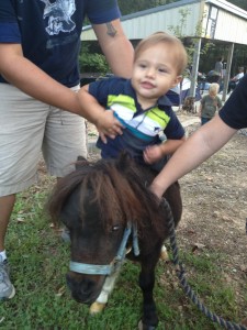 Cover photo for Giving Animals as Gifts