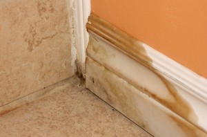 Moisture Issues in Home