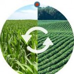 What is Crop Rotation - Importance, Advantages and Disadvantages