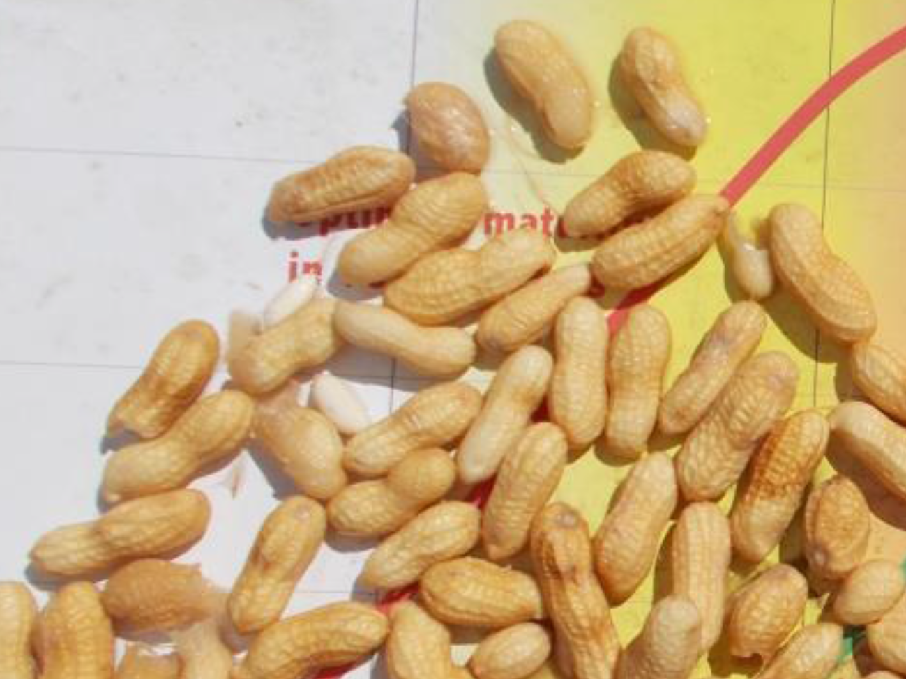 Peanut Maturity Change From Sep 5 to Oct 5 NC State Extension