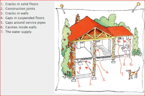 radon pathways inside a home
