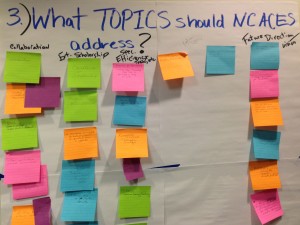 What topics should NCACES address, with sticky note ideas attached.