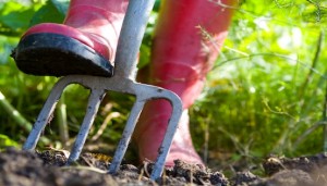 Cover photo for Gardening in March Will Soothe Spring Fever