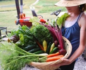 Cover photo for Local Foods Cooking Classes