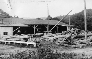 Log yard at Carolina Wood Turning - Extension Service photo