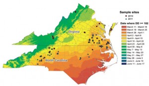 Time of peak egg lay based on 2010 and 2011 data. Note that cereal leaf beetle emergence was delayed in 2014 following the cold winter. This means that insecticide applied during March in 2014 was not effective to control the beetle. Figure from Philips et al. 2012.