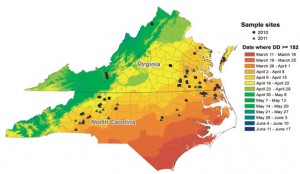 Time of peak egg lay based on 2010 and 2011 data. Note that cereal leaf beetle emergence was delayed in 2014 following the cold winter. This means that insecticide applied during March in 2014 was not effective to control the beetle. Figure from Philips et al. 2012. 