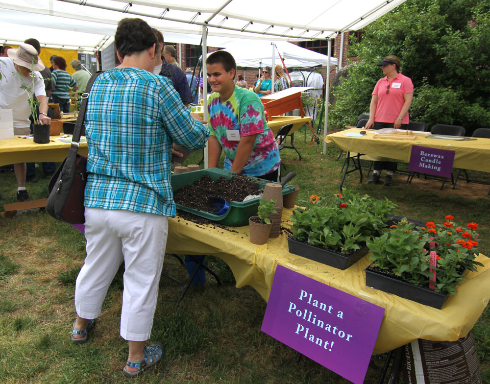 You can take home a pollinator plant!