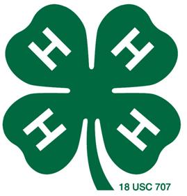 Cover photo for 2020 Chatham County 4-H Summer Camps