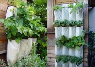 Growing Veggies in Containers Can Be Fun and Rewarding container gardening creative