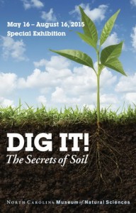 Dig_It_poster_300