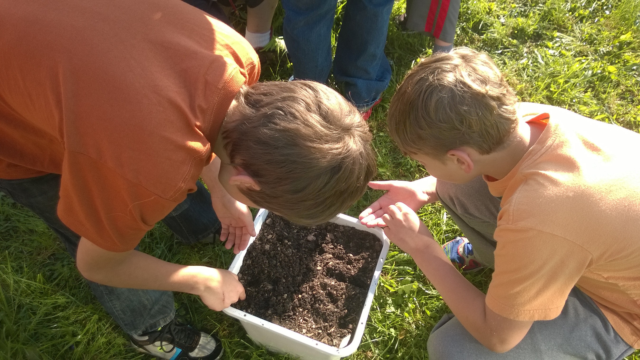 Planting Radish Seeds 4th Grade 2015