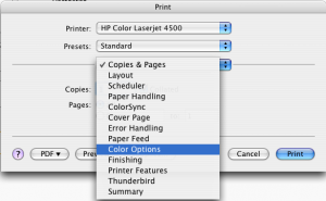 Screen capture of print dialog box