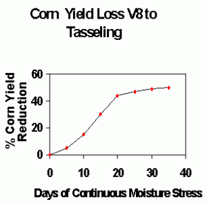 Corn Yield Loss V8 to Tasseling