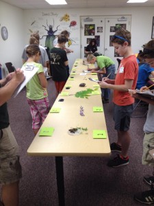 Contest participants determine the food types and what wildlife would eat each one