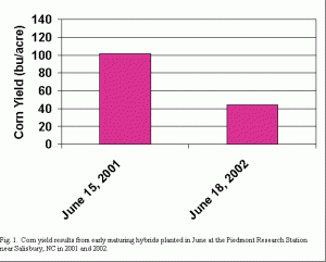 Corn yield results from early maturing hybrids planted in June