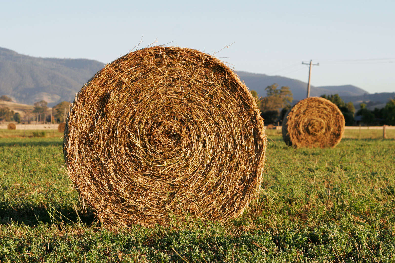 Avoid Hay Barn Fires North Carolina Cooperative Extension