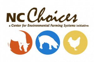 NC Choices Logo