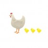 ChickenAndChicks