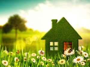 Green House. Abstract environmental backgrounds for your design