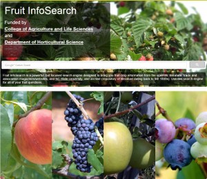 Fruit-InfoSearch
