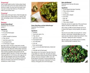 Kale Publication, page 2