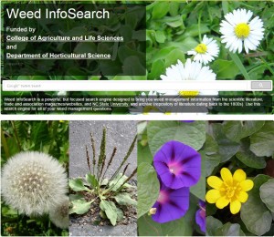 Weed-InfoSearch
