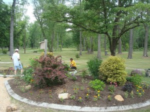 Butterfly Garden Workday