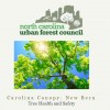Carolina-Canopy-New-Bern-2015