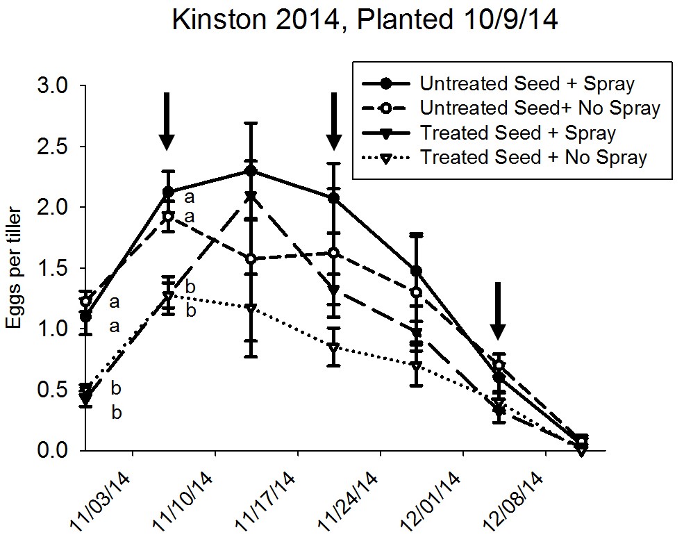 Eggs per tiller with untreated and insecticide treated seed with and without a foliar insecticide spray. Arrows denote spray date.