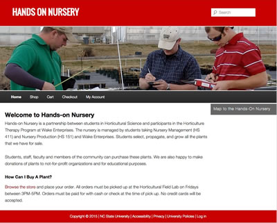Hands On Nursery