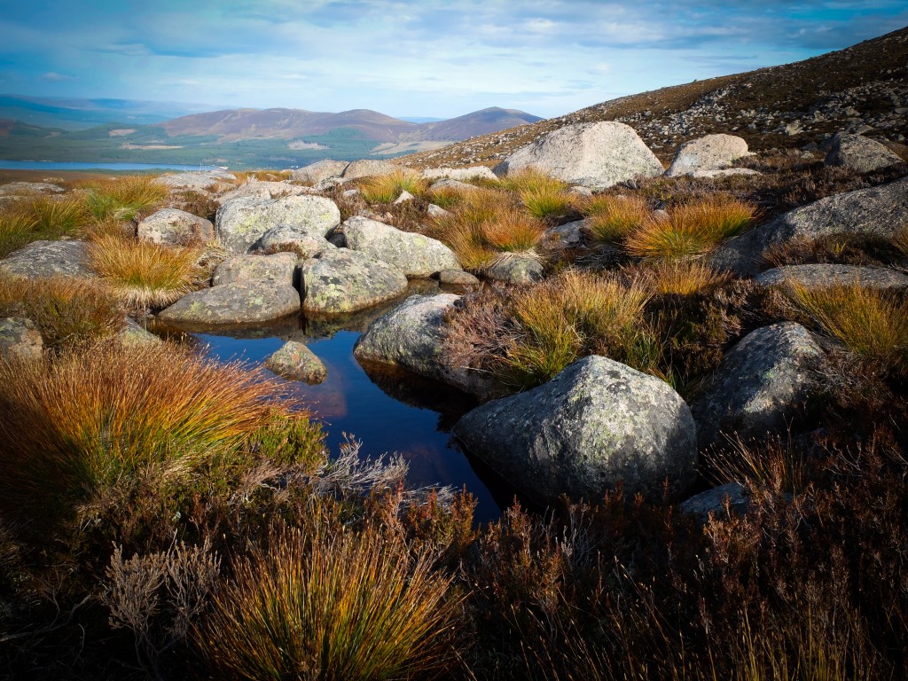 Scenic view looking towards the town of Aviemore from Cairngorms National Park