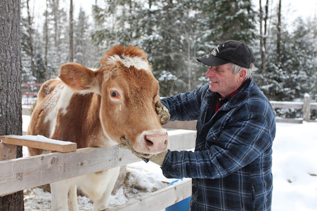 https://www.ces.ncsu.edu/wp-content/uploads/2015/11/petting-a-cow.jpg