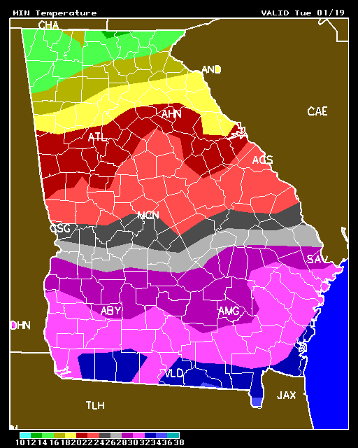 Minimum Temperatures Early Next Week in SC and GA (1130am, Jan. 15