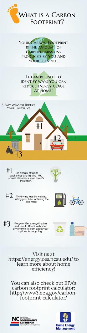 Carbon footprint Infographic