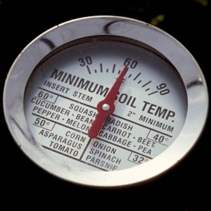 soil thermometer