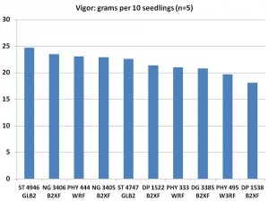 Vigor of 2015 On-Farm Varieties